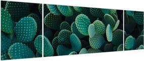 Obraz - Opuncja (170x50 cm)