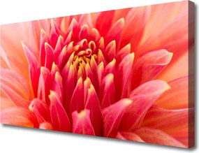 Obraz canvas Subtelny Pączek Kwiatowy