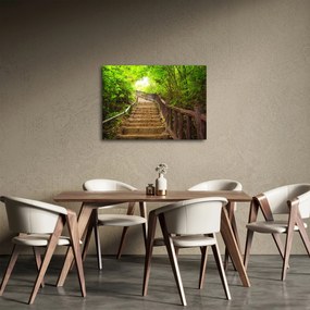 Obraz - Schody w przyrodzie (70x50 cm)