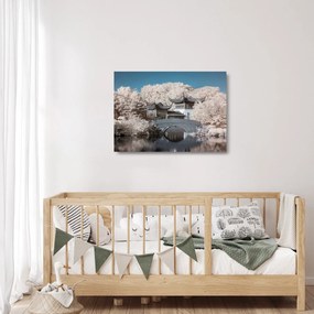 Obraz na szkle - Kwitnące drzewa w Azji (70x50 cm)