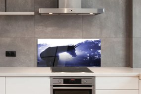 Panel Szklany Legenda o Jednorożcu w Lesie