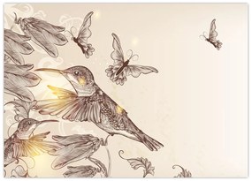 Obraz - Kolibry (70x50 cm)