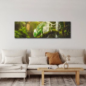 Obraz jaszczurki (170x50 cm)