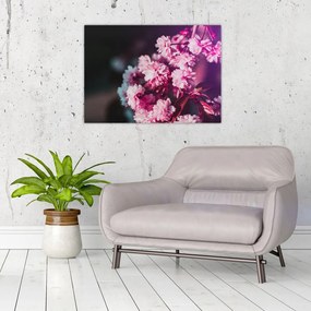 Obraz na szkle - kwiaty drzewa (70x50 cm)