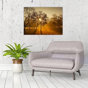 Obraz na szkle - wschód słońca (70x50 cm)