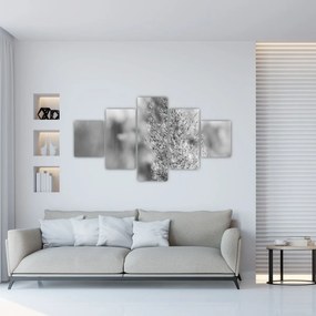 Obraz - Trawa pampasowa Boho (125x70 cm)