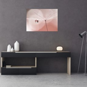 Obraz - Kropla rosy (70x50 cm)