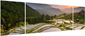 Obraz - Tarasy ryżowe (170x50 cm)