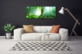 Fotoobraz na płótnie Miękkość Leśnego Mchu