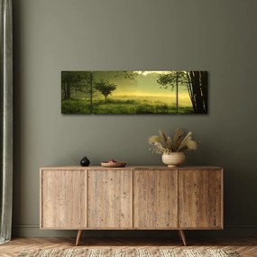 Obraz - Budzący się las (170x50 cm)