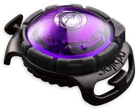Lampka LED na obrożę Purple – Orbiloc