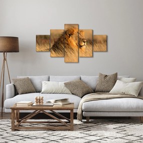 Obraz - Park Narodowy Etosha (125x70 cm)