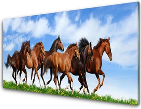 Szkło nad Blatem Dzikie Konie w Galopie