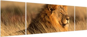 Obraz - Park Narodowy Etosha (170x50 cm)