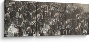 Obraz - Stado antylop gnu (z zegarem) (90x30 cm)