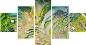 Obraz pól ryżowych z lotu ptaka (125x70 cm)