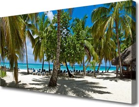 Obraz canvas Cień Palmy na Piasku