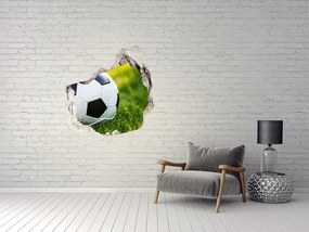 Fototapeta dziura na ścianę 3d Piłka w bramce