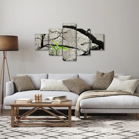 Obraz - Pęknięcia (125x70 cm)