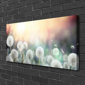 Obraz canvas Lekkość Polnych Dmuchawców