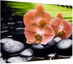 Obraz - Pomarańczowa orchidea z liśćmi palmy (70x50 cm)