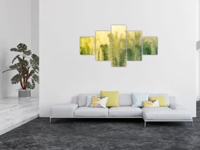 Obraz - Szczegół wiosennej mglistej przyrody (125x70 cm)