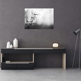 Obraz - Detal kwiatów polnych (70x50 cm)