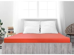 4Home prześcieradło jersey Ideal strawberry, 200 x200 cm, 200 x 200 cm