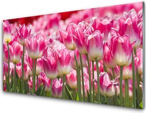 Szkło Ozdobne do Kuchni Pastelowe Tulipany w Słońcu