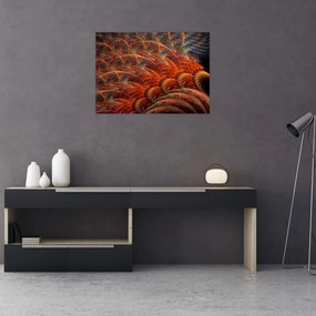 Obraz - Abstrakcyjna imitacja piór (70x50 cm)
