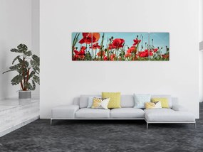 Obraz - Na polu maków (170x50 cm)