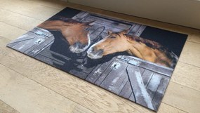 Wycieraczka Deco Star Koniki 40 cm x 60 cm