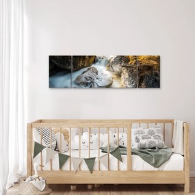 Obraz - Strumień leśny (170x50 cm)