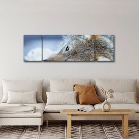 Obraz - Wilk (170x50 cm)