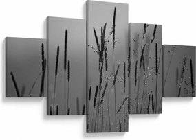 Obraz - źdźbła trawy (125x70 cm)