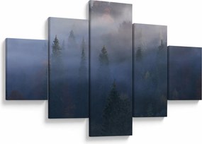 Obraz - Las we mgle, Karpaty, Ukraina (125x70 cm)