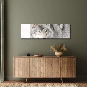 Obraz - Wilk w naturze (170x50 cm)