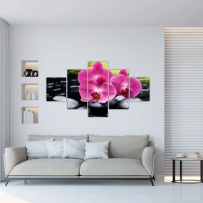 Obraz - Różowe orchidee z liściem palmy (125x70 cm)