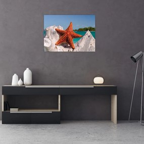 Obraz na szkle - rozgwiazda (70x50 cm)