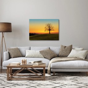 Obraz drzewa na polu (70x50 cm)
