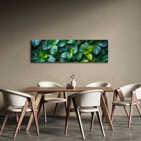 Obraz - Rośliny zielone (170x50 cm)