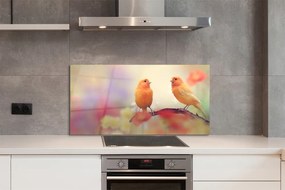 Panel szklany do Kuchni Rodzina Kolorowych Papug