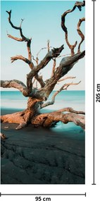 Fototapeta na drzwi - Wypłynęło na plaży (95x205cm)