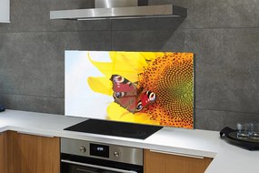 Panel Szklany Motyl na tle Słonecznika