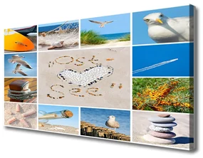 Obraz Canvas Ocean Plaża Mewy Krajobraz