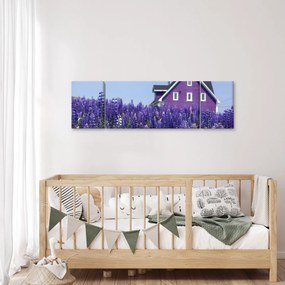 Obraz lawendowego pola (170x50 cm)