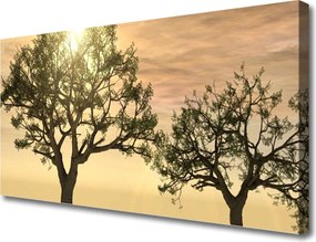 Obraz na płótnie Gęstwina Leśnych Drzew