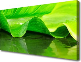 Obraz canvas Makro Struktura Liścia