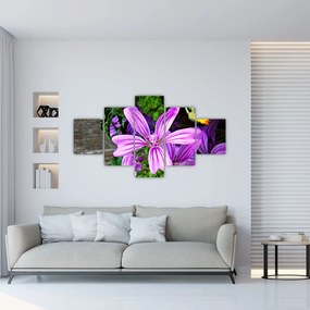 Obraz - kwiaty polne (125x70 cm)