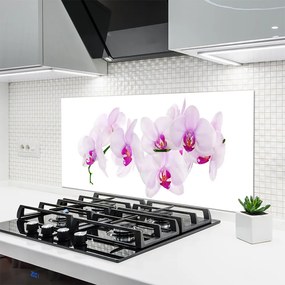 Szkło do Kuchni na Ścianę Pastelowy Ogród Botaniczny